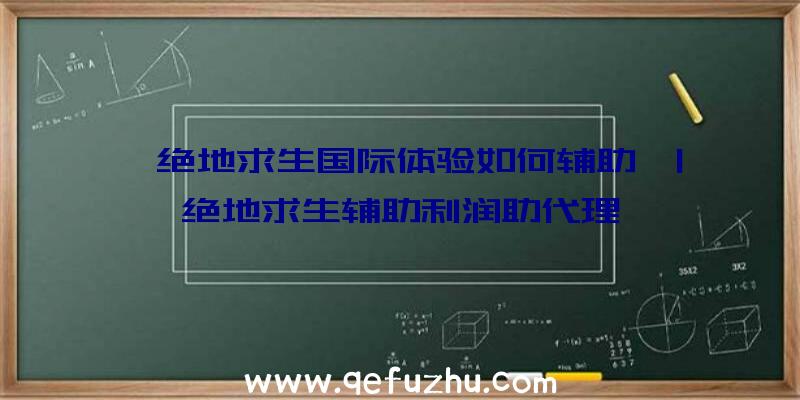 「绝地求生国际体验如何辅助」|绝地求生辅助利润助代理